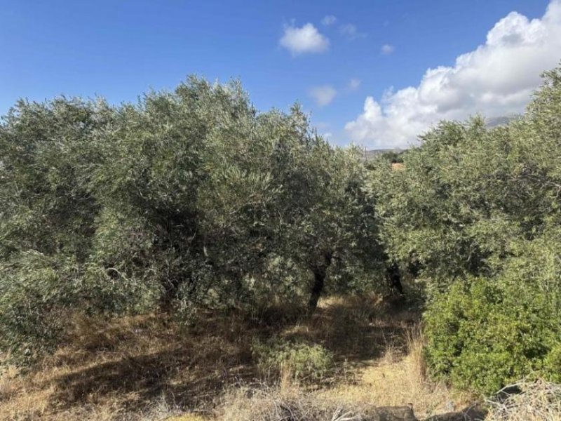 Sellia bei Plakias Kreta, Sellia: Erstklassiges Grundstück mit Meerblick in der Nähe von Plakias zu verkaufen Grundstück kaufen